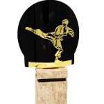 Trofeo artes marciales metal grabado