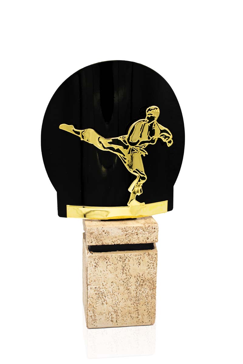 FX08 Trofeo artes marciales metal grabado - Imagen 1