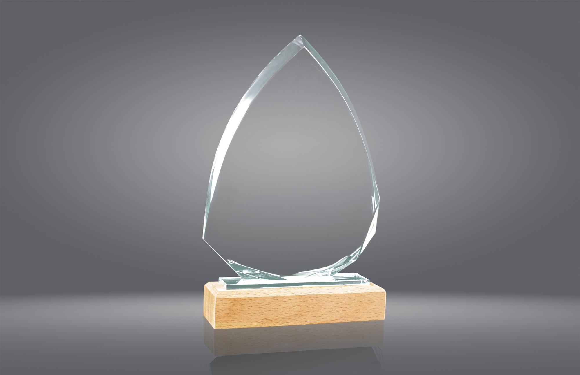 1012 Trofeo cristal grabado 1012 - Imagen 1