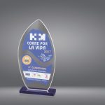 Trofeo cristal sublimación grabado 1099