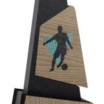 Trofeo especial grabado 1143