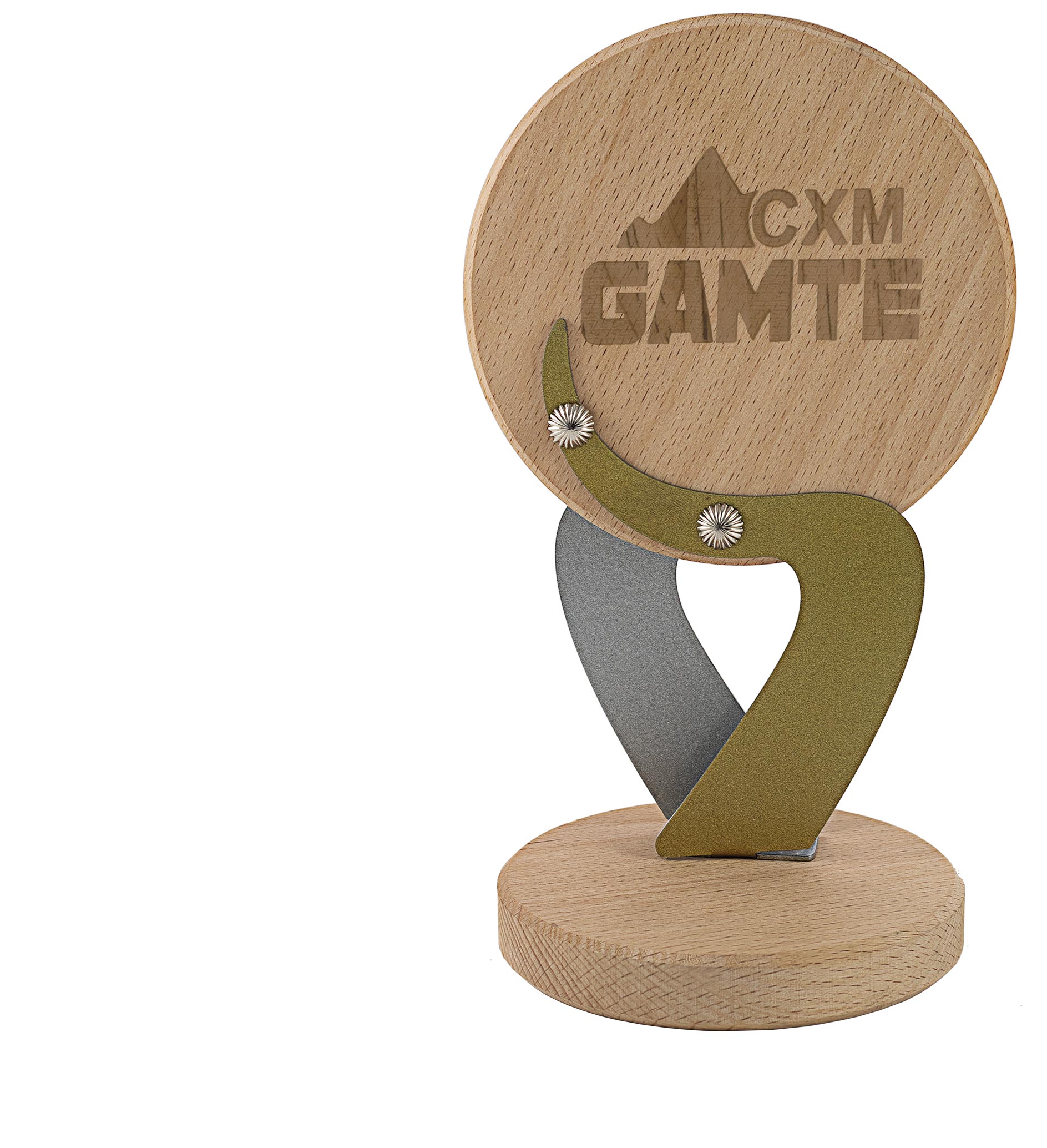 1146 Trofeo especial grabado 1146 - Imagen 1