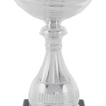 Trofeo grabado 1237