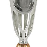 Trofeo grabado 1248