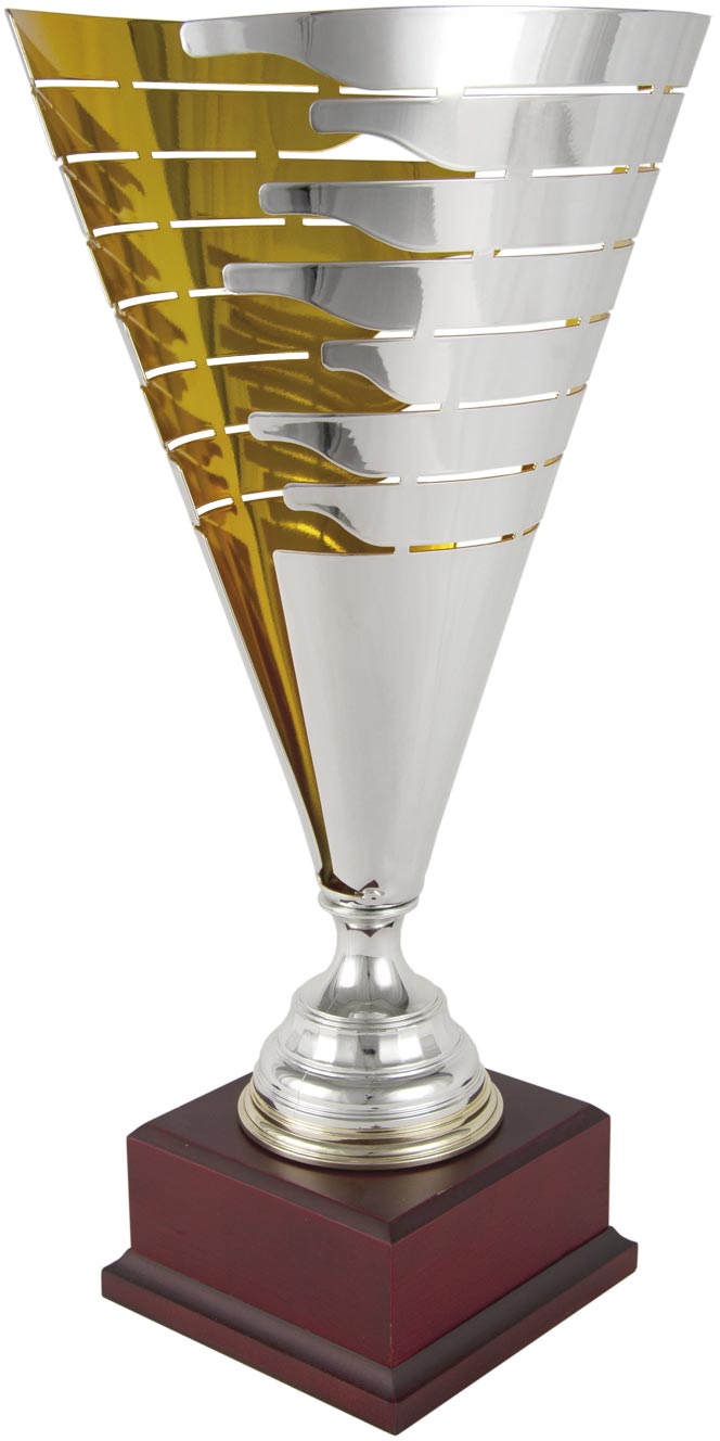1298 Trofeo grabado 1298 - Imagen 1