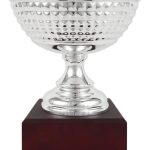 Trofeo clásico grabado 1325