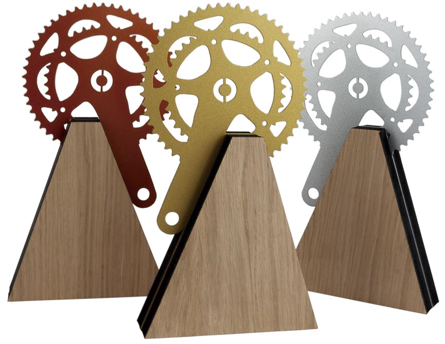 1535-1-copia Trofeo ciclismo mountainbike grabado 1535 - Imagen 1