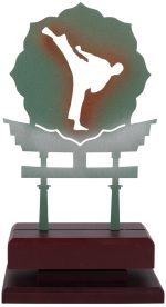 Trofeo artes marciales grabado 1595 - Imagen 2