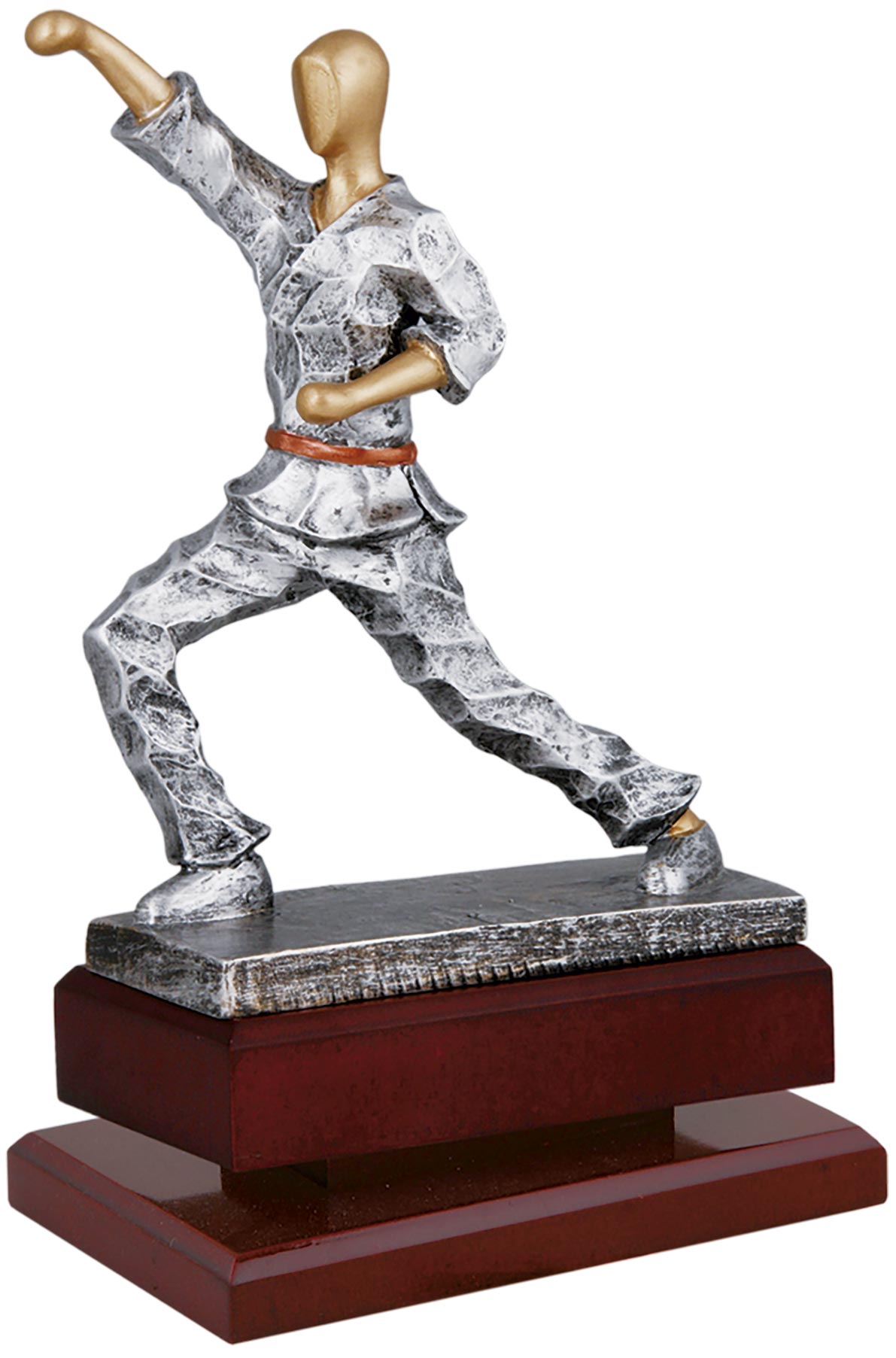 1596 Trofeo artes marciales grabado 1596 - Imagen 1