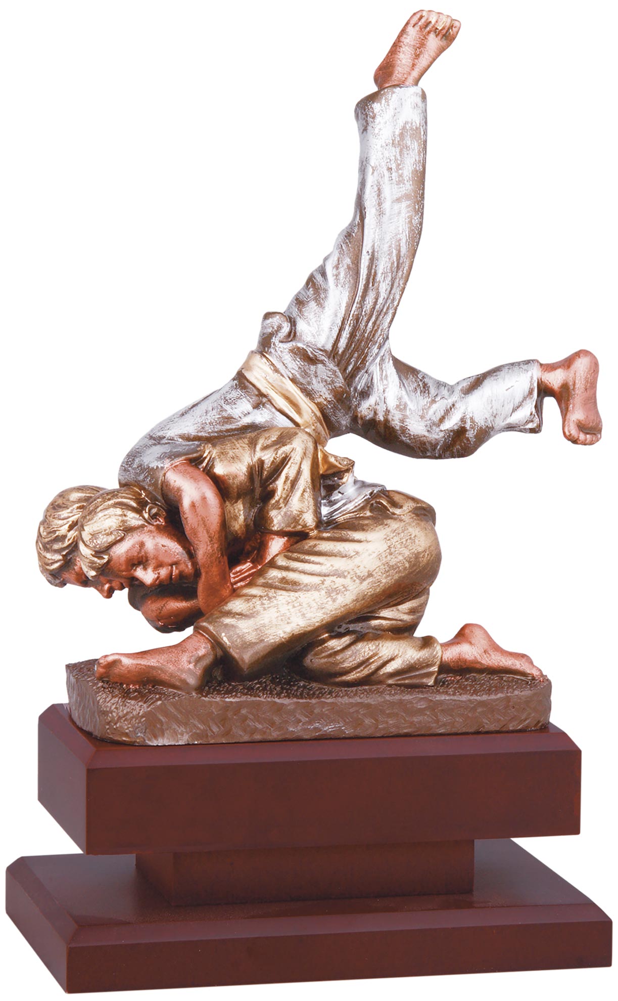 1599 Trofeo artes marciales grabado 1599 - Imagen 1