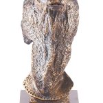 Trofeo toro grabado 1637