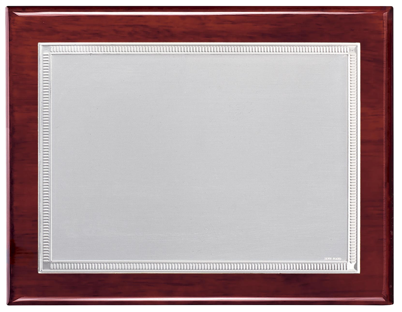 97217 Placa de homenaje latón baño de plata grabada con estuche 97217 - Imagen 1
