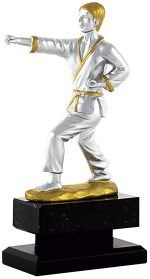 Trofeo varios deportes grabado 1420 consultar - Imagen 3