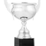 Trofeo clásico grabado 26-1009