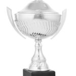 Trofeo clásico grabado 26-1021