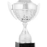 Trofeo clásico grabado 26-1022