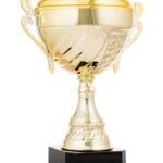 Trofeo clásico grabado 26-1023