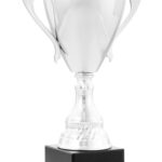 Trofeo grabado 26-1600