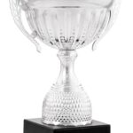 Trofeo grabado 26-1604