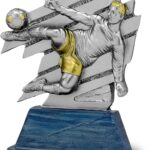 Trofeo participación grabado 26-1812-0