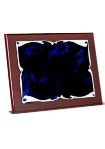 Placa de homenaje grabada con estuche 26-5215