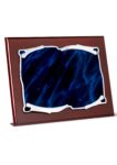 Placa de homenaje grabada con estuche 26-5217