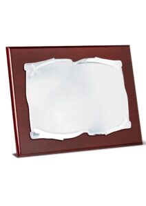 Placa homenaje grabada con estuche 26-5600