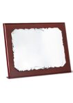Placa de homenaje grabada con estuche 26-5602